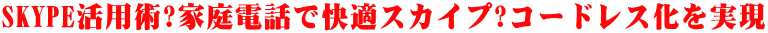 SKYPEpp?ƒdbŉKXJCv?R[hX